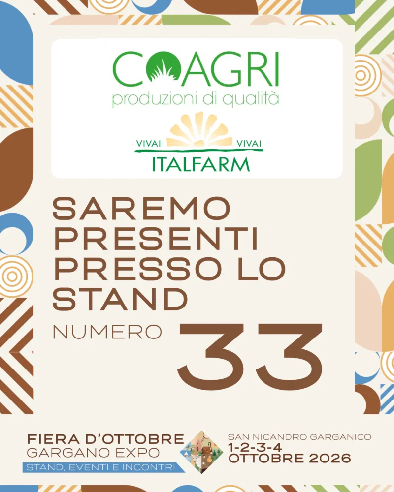 Espositore Fiera d'Ottobre 2026 — grafica 16