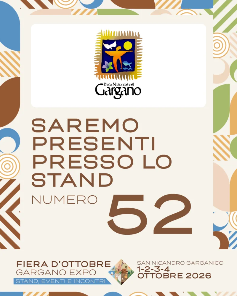 Espositore Fiera d'Ottobre 2026 — grafica 25