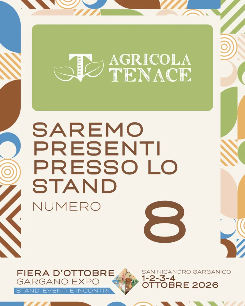 Espositore Fiera d'Ottobre 2026 — grafica 7
